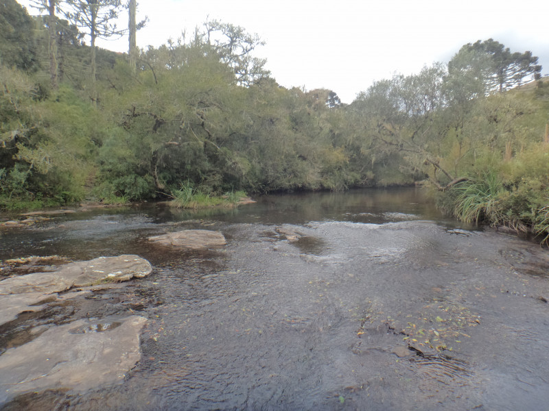 Sítio à venda Centro com 380000m² e 1 quarto por R$ 1.350.000 - 764373904-dsc01895.JPG