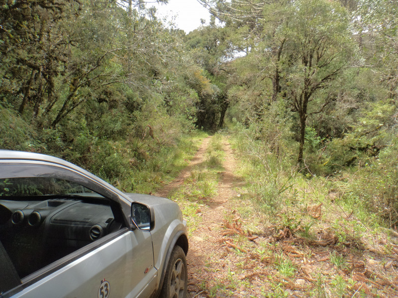 Sítio à venda Centro com 380000m² e 1 quarto por R$ 1.350.000 - 840774439-dsc01852.JPG