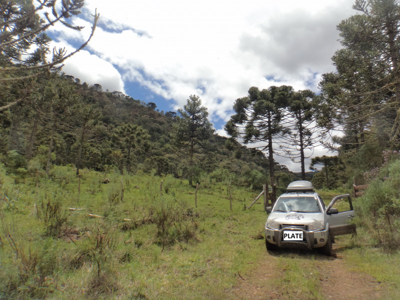 Sítio à venda Centro com 380000m² e 1 quarto por R$ 1.350.000 - 930050608-dsc01841a.jpg