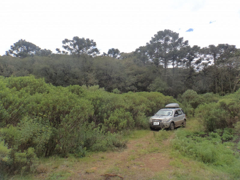 Sítio à venda Centro com 380000m² e 1 quarto por R$ 1.350.000 - 981488200-dsc01866a.jpg