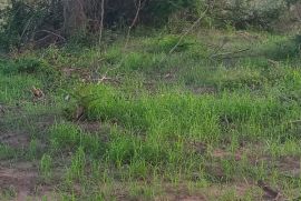 Terreno à venda Jacarepaguá com 117m² - 1 dormitório -  vagas - R$ 3.500.000 - 93033460-20220319-180448-hdr.jpg
