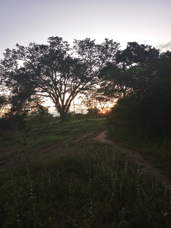 Terreno à venda Jacarepaguá com 117m² e 1 quarto por R$ 3.500.000 - 39656372-20220319-180548-hdr.jpg