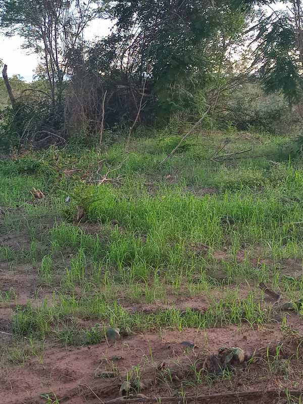 Terreno à venda Jacarepaguá com 117m² e 1 quarto por R$ 3.500.000 - 93033460-20220319-180448-hdr.jpg