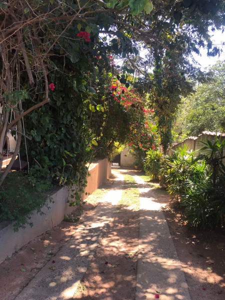 Chácara à venda Centro com 1200m² e 4 quartos por R$ 900.000 - 1892437607-whatsapp-image-2022-08-15-at-12.jpeg