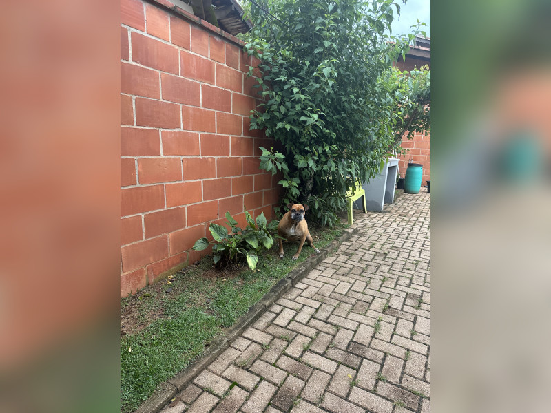 imóvel com 1250m² - Centro - Louveira