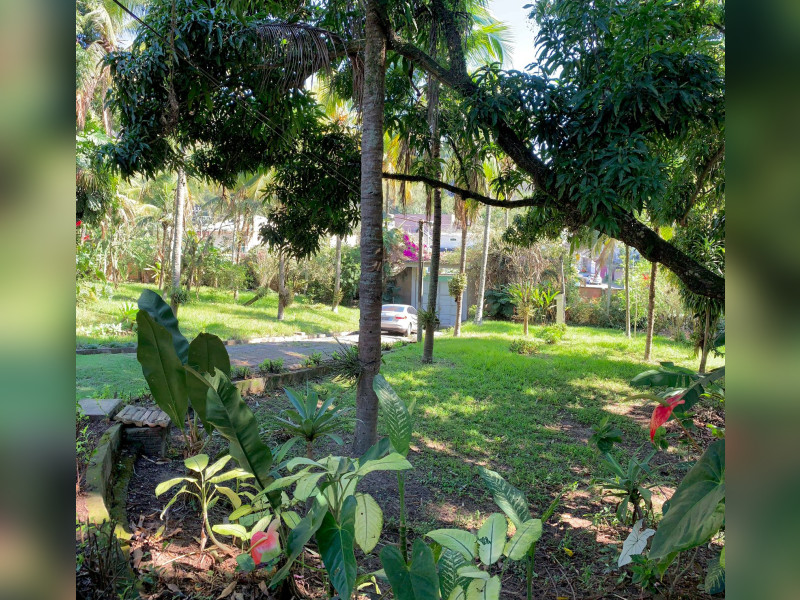 Sítio à venda Jacarepaguá com 8000m² e 6 quartos por R$ 3.990.000 - 32aa2c00-49b2-466f-860f-eab498338446.jpeg