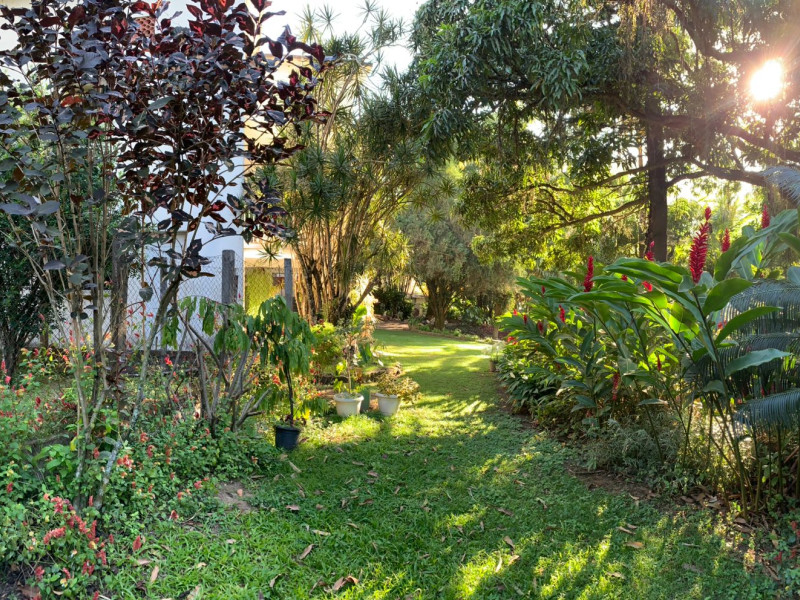 Sítio à venda Jacarepaguá com 8000m² e 6 quartos por R$ 3.990.000 - 8e77da7a-952d-40ba-aaeb-f913cbcea0c3.jpeg
