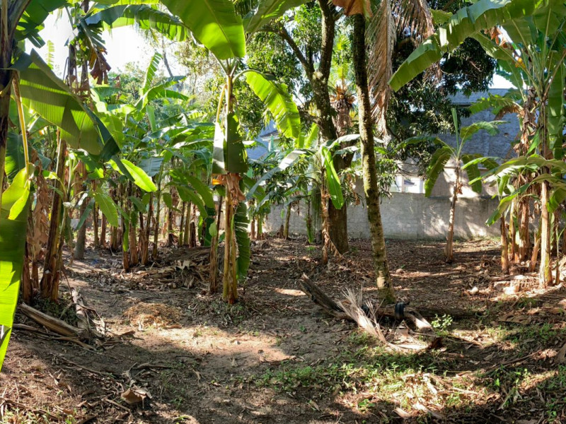 Sítio à venda Jacarepaguá com 8000m² e 6 quartos por R$ 3.990.000 - cf960dda-3c80-4672-a614-10e32a3f5ad0.jpeg