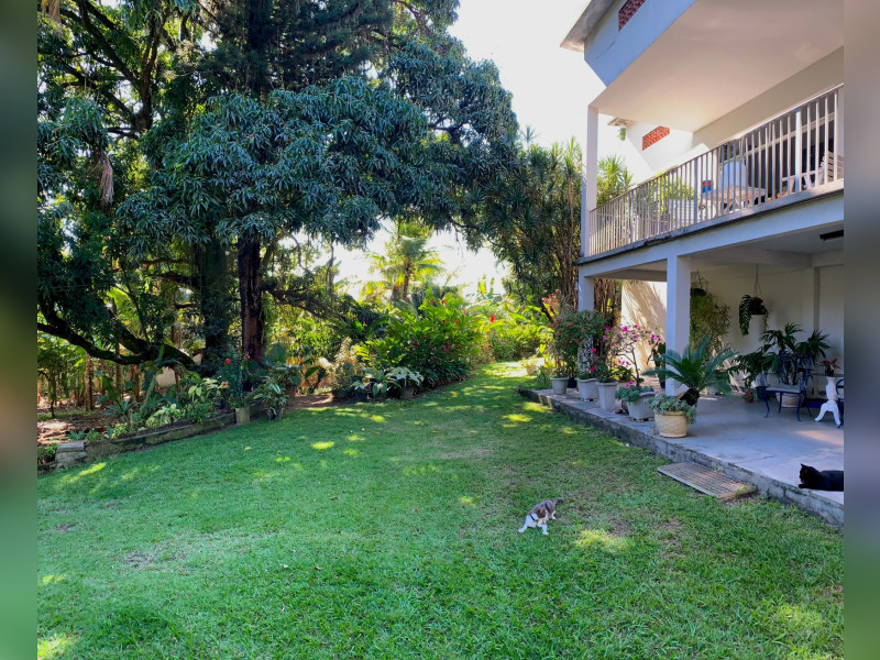 Sítio à venda Jacarepaguá com 8000m² e 6 quartos por R$ 3.990.000 - d12b3192-cf79-4e98-bbde-71725135f06f.jpeg