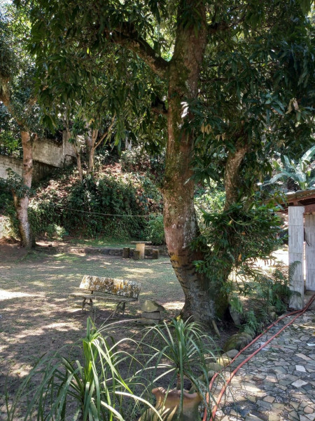 Chácara à venda Parque Santa Rita com 2500m² e 4 quartos por R$ 480.000 - 1775894134-img-20221104-wa0036.jpg