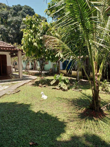 Chácara à venda Parque Santa Rita com 2500m² e 4 quartos por R$ 480.000 - 924203756-img-20221104-wa0034.jpg