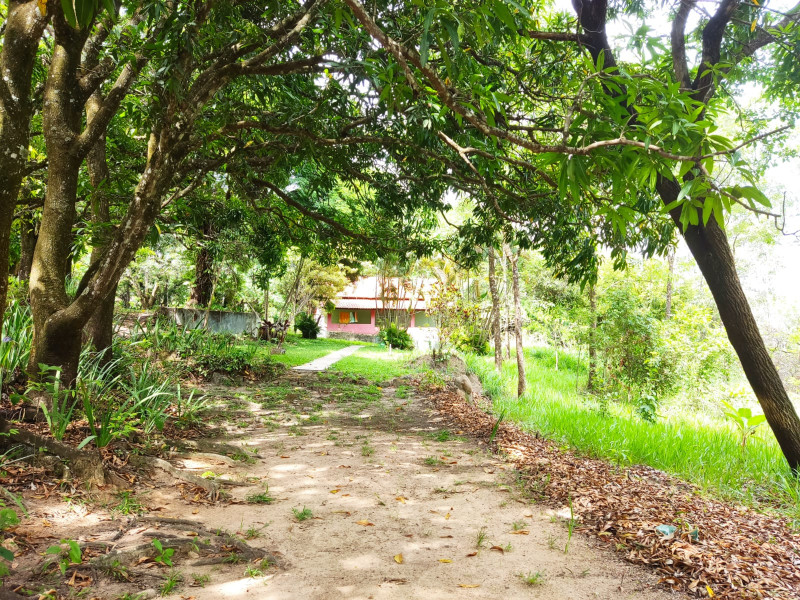 Sítio à venda Vianópolis com 10000m² e 3 quartos por R$ 1.000.000 - 63177261-whatsapp-image-2022-11-07-at-19.jpeg