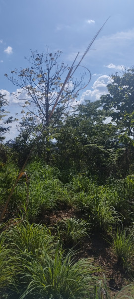 Terreno à venda Porto do Centro com 510m² e 1 quarto por R$ 15.000 - 1080036439-img-20221116-143324.jpg