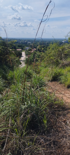 Terreno à venda Porto do Centro com 510m² e 1 quarto por R$ 15.000 - 1615015882-img-20221116-145019.jpg
