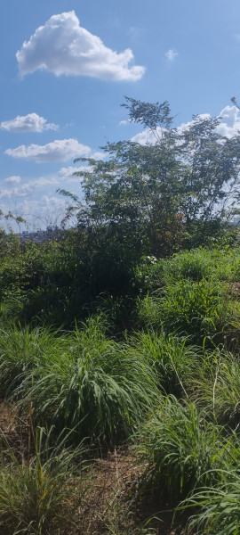 Terreno à venda Porto do Centro com 510m² e 1 quarto por R$ 15.000 - 2075119223-img-20221116-143354.jpg