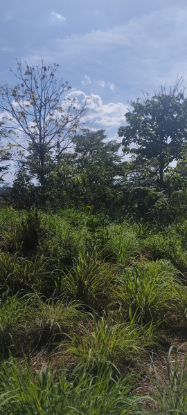 Terreno à venda Porto do Centro com 510m² e 1 quarto por R$ 15.000 - 438008260-img-20221116-143352.jpg
