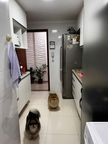 Apartamento à venda Parque Flamboyant com 85m² e 2 quartos por R$ 315.000 - 1460183148-whatsapp-image-2022-11-19-at-09.jpeg