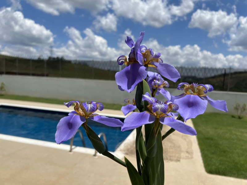 Casa de condomínio à venda reserva santa rosa com 214m² e 3 quartos por R$ 1.790.000 - 170879770-img-1649.jpg