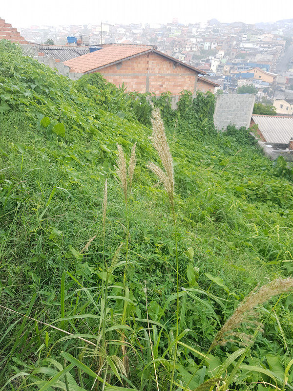 Terreno à venda Vila Lisboa com 160m² e 1 quarto por R$ 130.000 - 1387916155-20200129-174702.jpg