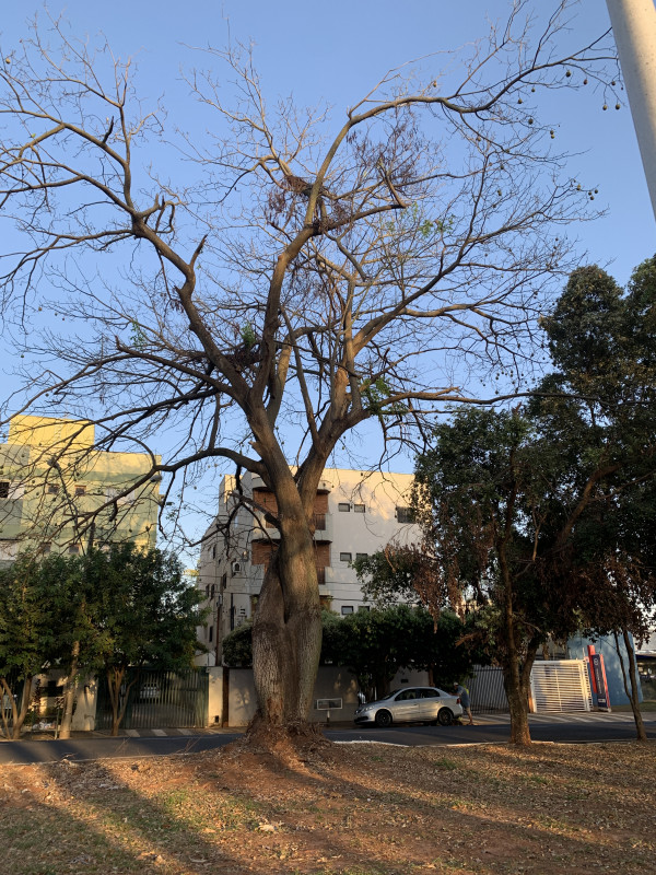 Apartamento à venda Jardim Redentor com 138m² e 3 quartos por R$ 450.000 - 1059299309-3a3ba648-3f4c-4748-8f1c-df6bf5abe1e1.jpeg