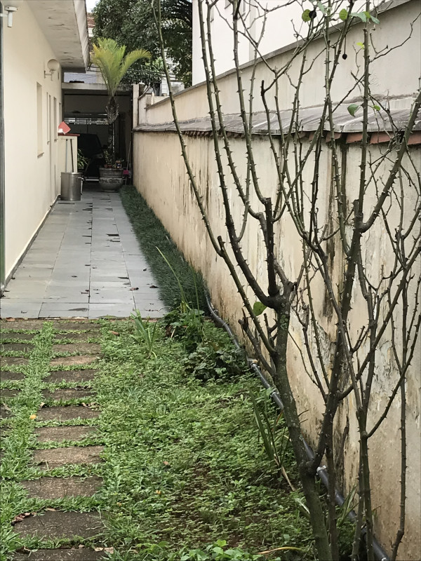 Casa à venda Planalto Paulista com 500m² e 3 quartos por R$ 2.200.000 - 1959427830-3b2f898e-6b3a-4485-82c0-5dafc97d73da.jpeg