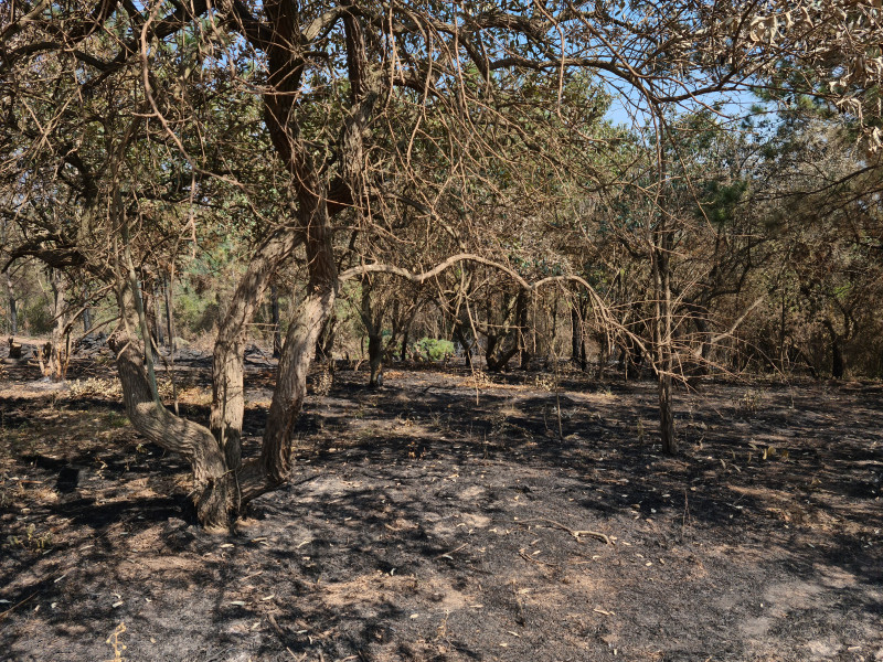 Terreno à venda Centro com 1000m² e 1 quarto por R$ 150.000 - 2028369327-20220806-111058.jpg