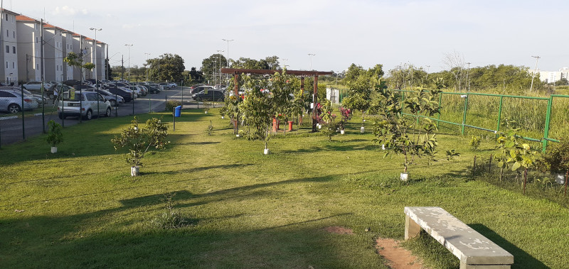 Apartamento à venda Parque Santa Rosa com 44m² e 2 quartos por R$ 180.000 - 1352593550-area-pet-arvores.jpg