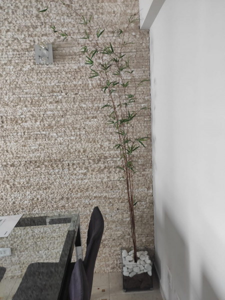 Apartamento à venda Vila Dom Pedro I com 63m² e 2 quartos por R$ 650.000 - 876626347-img-20221126-wa0027.jpg