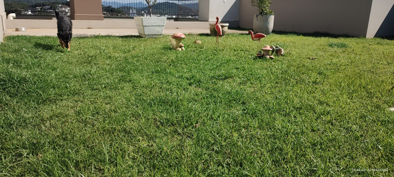Cobertura à venda Fortaleza com 280m² e 3 quartos por R$ 1.200.000 - 1172571816-img-20221026-150205481.jpg