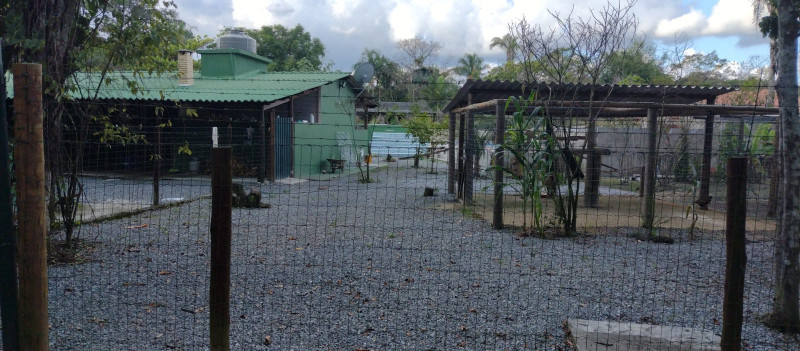 Chácara à venda Vl. Peruibe com 290400m² e 6 quartos por R$ 699.000 - 737395178-img-20221010-wa0092.jpg