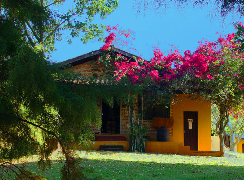 Chácara à venda Centro com 700m² e 3 quartos por R$ 850.000 - 1922937425-dsc02612.JPG