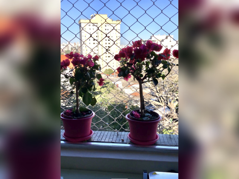 Apartamento à venda Alto de Pinheiros com 78m² e 2 quartos por R$ 500.000 - c4ce35df-dfa7-4fb0-a1f7-ee2d19ad9545.jpeg