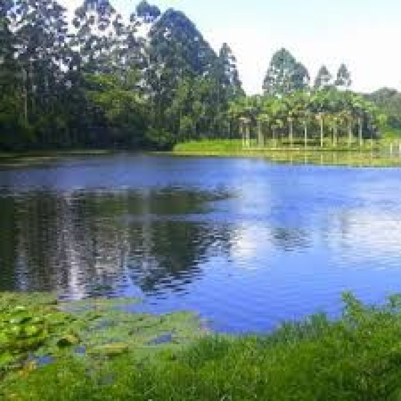 Casa à venda Interlagos com 220m² e 2 quartos por R$ 850.000 - 1780496124-images-5.jpeg