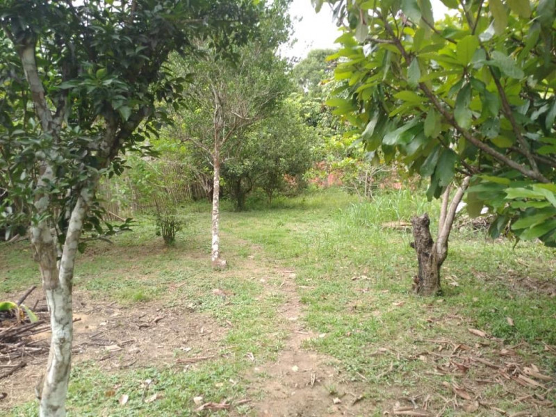 Casa à venda vila acre com 2500m² e 3 quartos por R$ 225.000 - 1057873951-a893dc77-478d-4863-b0a2-a9849aa583a5.jpeg