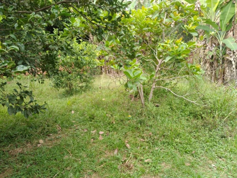 Casa à venda vila acre com 2500m² e 3 quartos por R$ 225.000 - 2092501541-3b94f00d-db9a-4eb0-abee-93a45f69782b.jpeg