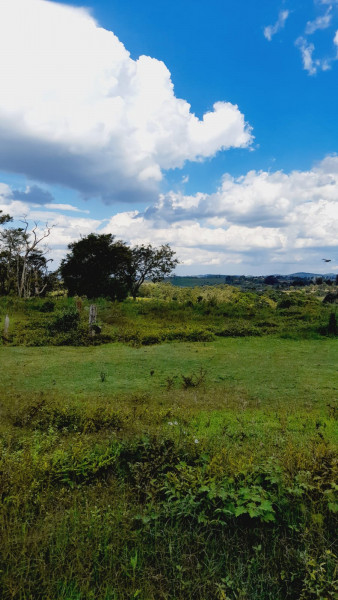 Terreno à venda Chácaras Cangueirinha com 1000m² e 1 quarto por R$ 90.000 - 240584376-whatsapp-image-2022-11-30-at-11.jpeg