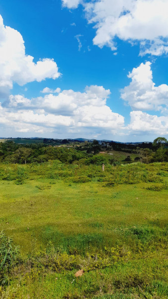 Terreno à venda Chácaras Cangueirinha com 1000m² e 1 quarto por R$ 90.000 - 812370677-whatsapp-image-2022-11-30-at-11.jpeg