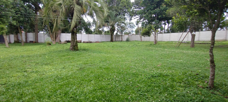 Casa à venda Jardim dos Estados 1 com 1015m² e 3 quartos por R$ 550.000 - 517729657-img-20221205-140706373.jpg