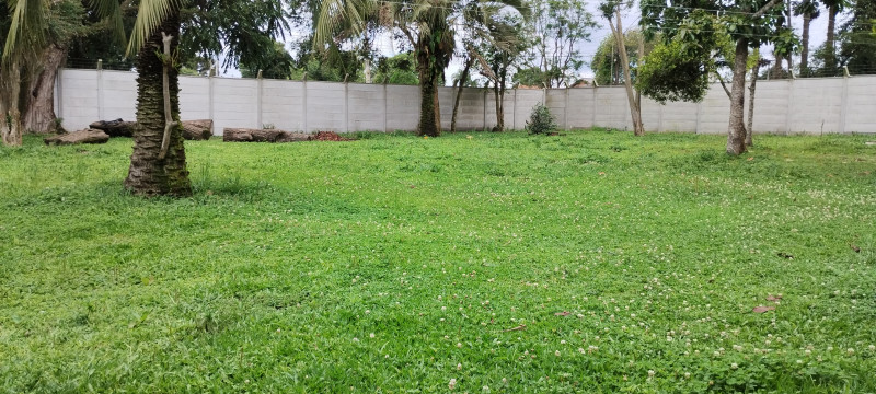 Casa à venda Jardim dos Estados 1 com 1015m² e 3 quartos por R$ 550.000 - 836834985-img-20221205-140702412.jpg