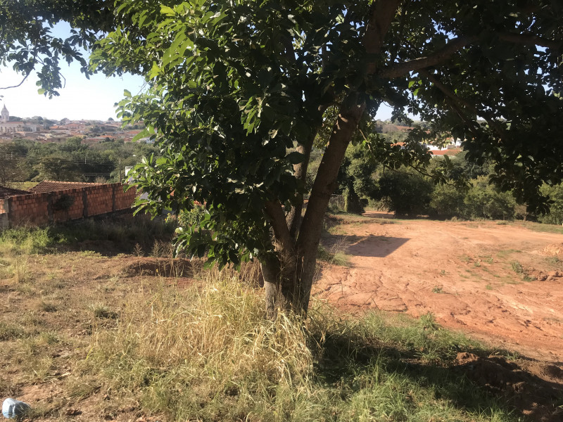 Terreno à venda Centro com 1230000m² e 1 quarto por R$ 950.000 - 226586602-img-1171.jpeg