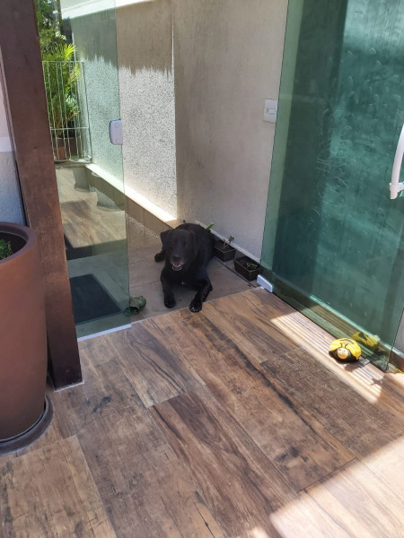 Casa à venda Mandaqui com 580m² e 3 quartos por R$ 1.390.000 - 1594479734-whatsapp-image-2022-12-13-at-14.jpeg