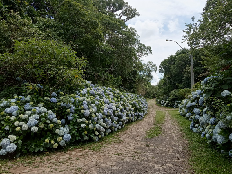 Casa de condomínio à venda Centro com 140m² e 4 quartos por R$ 285.000 - 1089969060-img-20221210-105922.jpg