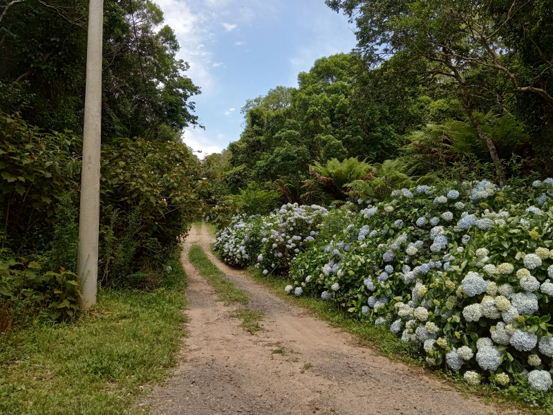 Casa de condomínio à venda Centro com 140m² e 4 quartos por R$ 285.000 - 1945169360-img-20221210-105932.jpg