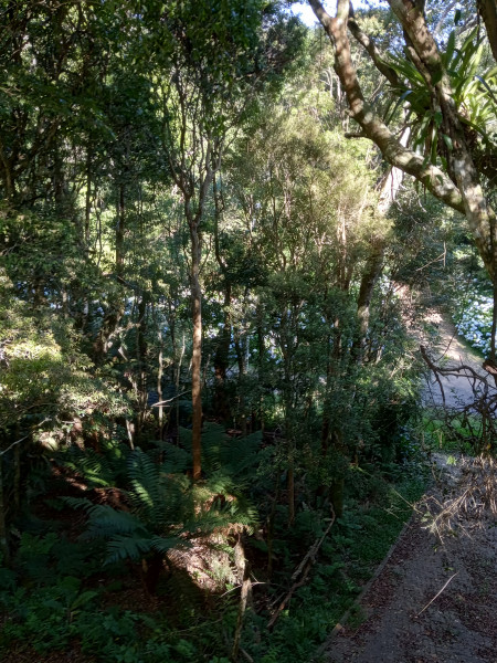 Casa de condomínio à venda Centro com 140m² e 4 quartos por R$ 285.000 - 209630123-img-20221210-081003.jpg