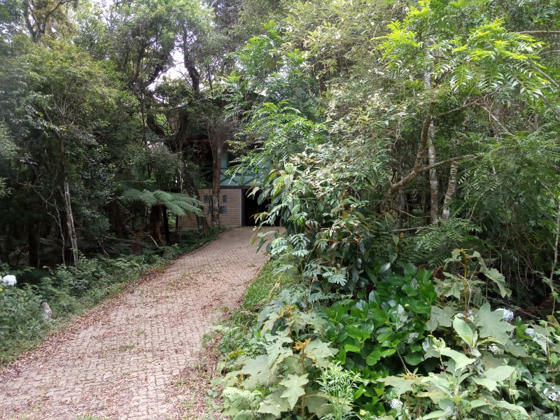 Casa de condomínio à venda Centro com 140m² e 4 quartos por R$ 285.000 - 2106415235-img-20221210-105938.jpg