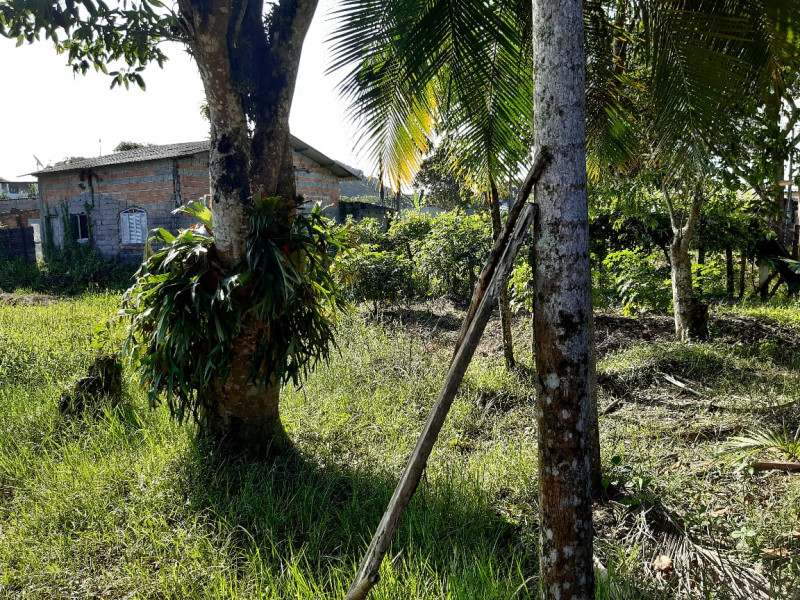 Chácara à venda Estância Antonio Novaes com 1300m² e 1 quarto por R$ 150.000 - 1045400592-whatsapp-image-2021-08-30-at-11.jpeg