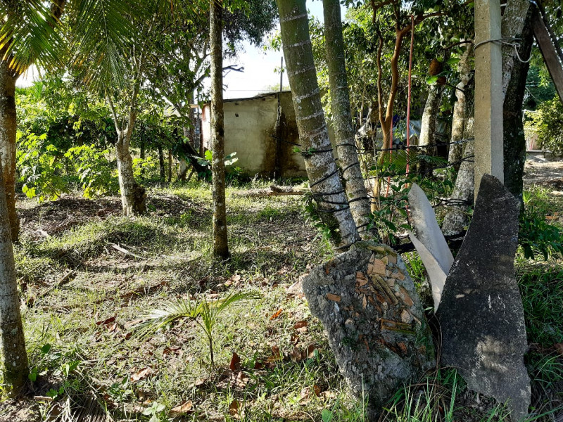 Chácara à venda Estância Antonio Novaes com 1300m² e 1 quarto por R$ 150.000 - 1487973683-whatsapp-image-2021-08-30-at-11.jpeg