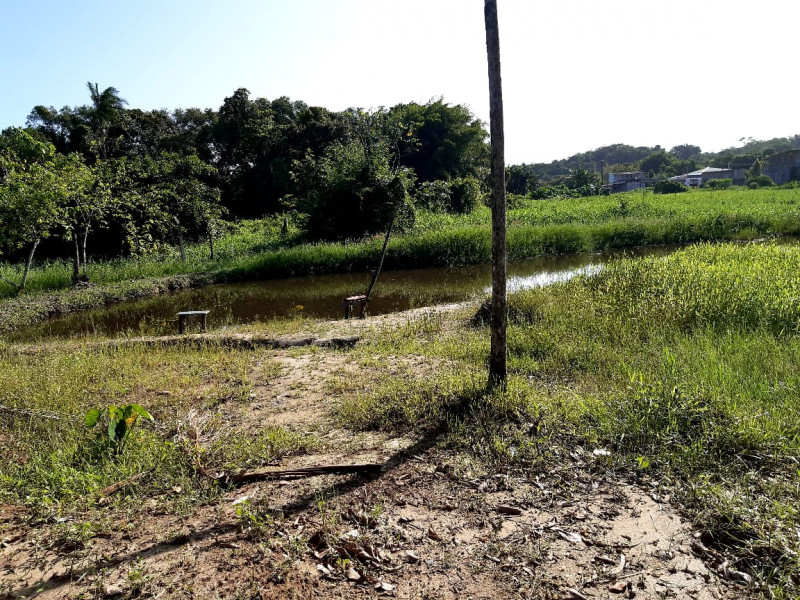 Chácara à venda Estância Antonio Novaes com 1300m² e 1 quarto por R$ 150.000 - 2088237526-whatsapp-image-2021-08-30-at-11.jpeg