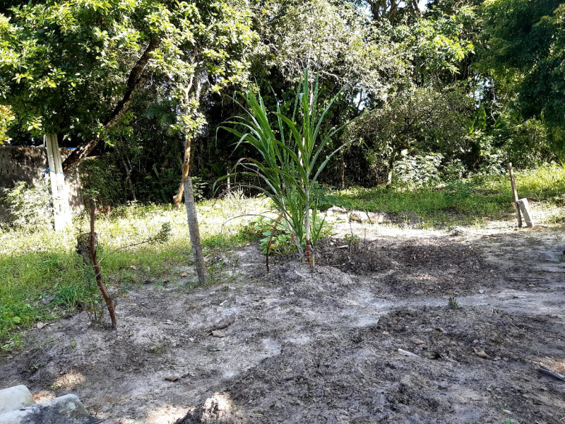 Chácara à venda Estância Antonio Novaes com 1300m² e 1 quarto por R$ 150.000 - 640768471-whatsapp-image-2021-08-30-at-11.jpeg