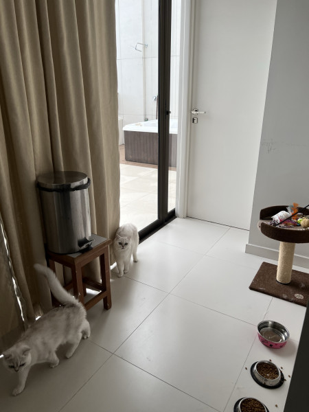 Cobertura à venda Tambaú com 107m² e 3 quartos por R$ 1.600.000 - 720903440-491df22f-b4ec-4720-966a-f0faf8090a31.jpeg